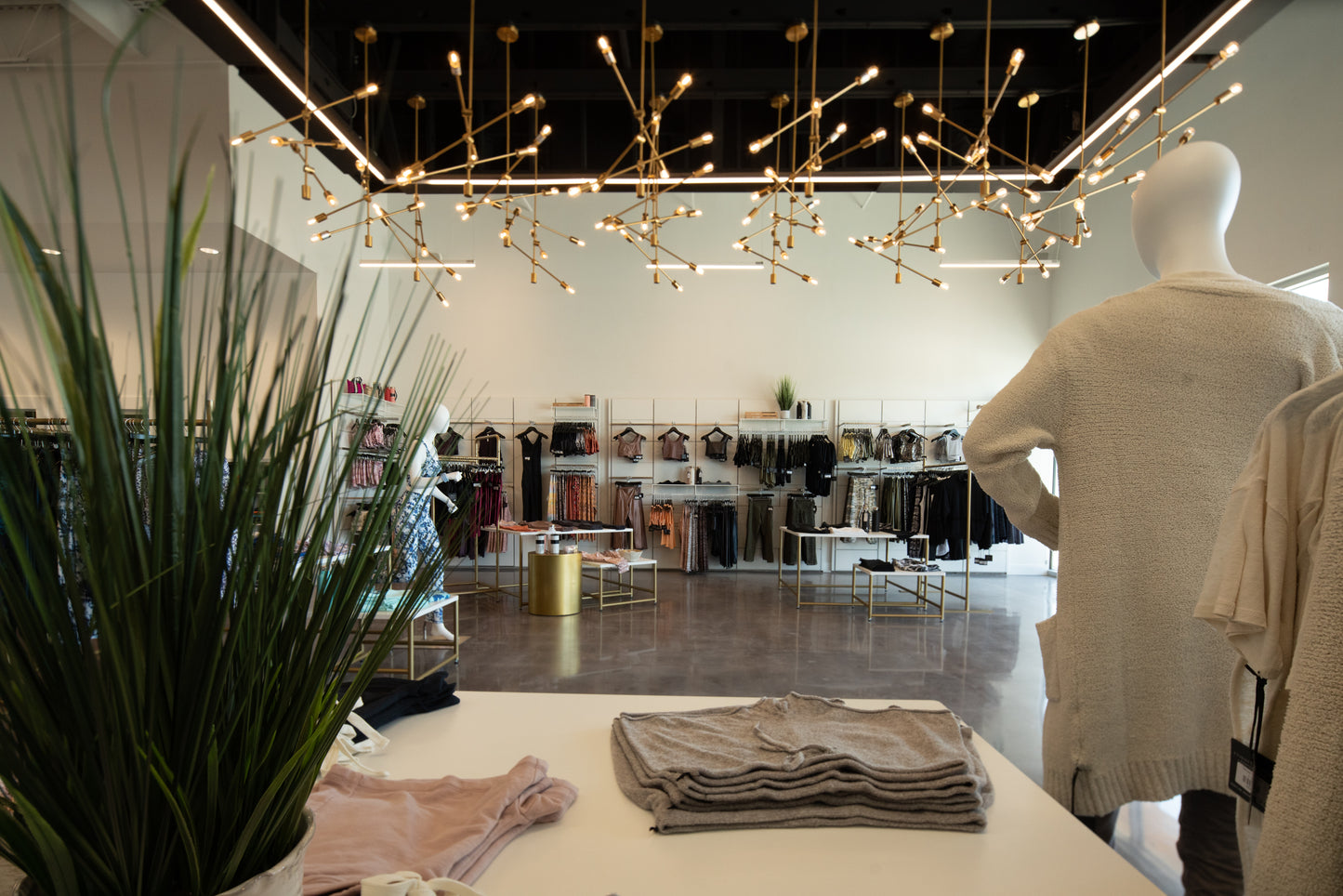 Retail Store Tenant Construction Build Out and Design